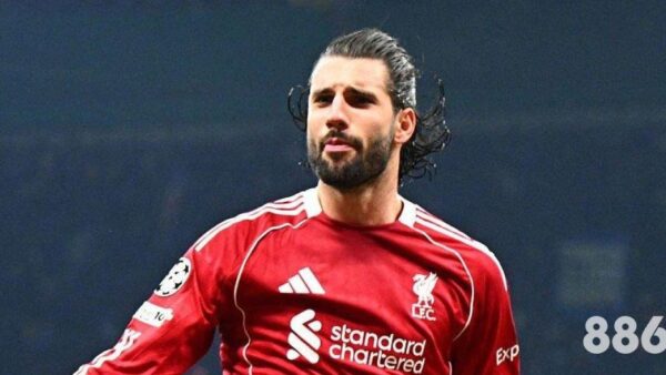 教你解决「大发体育手机登录不上」问题，享受2026世界杯精彩赛事